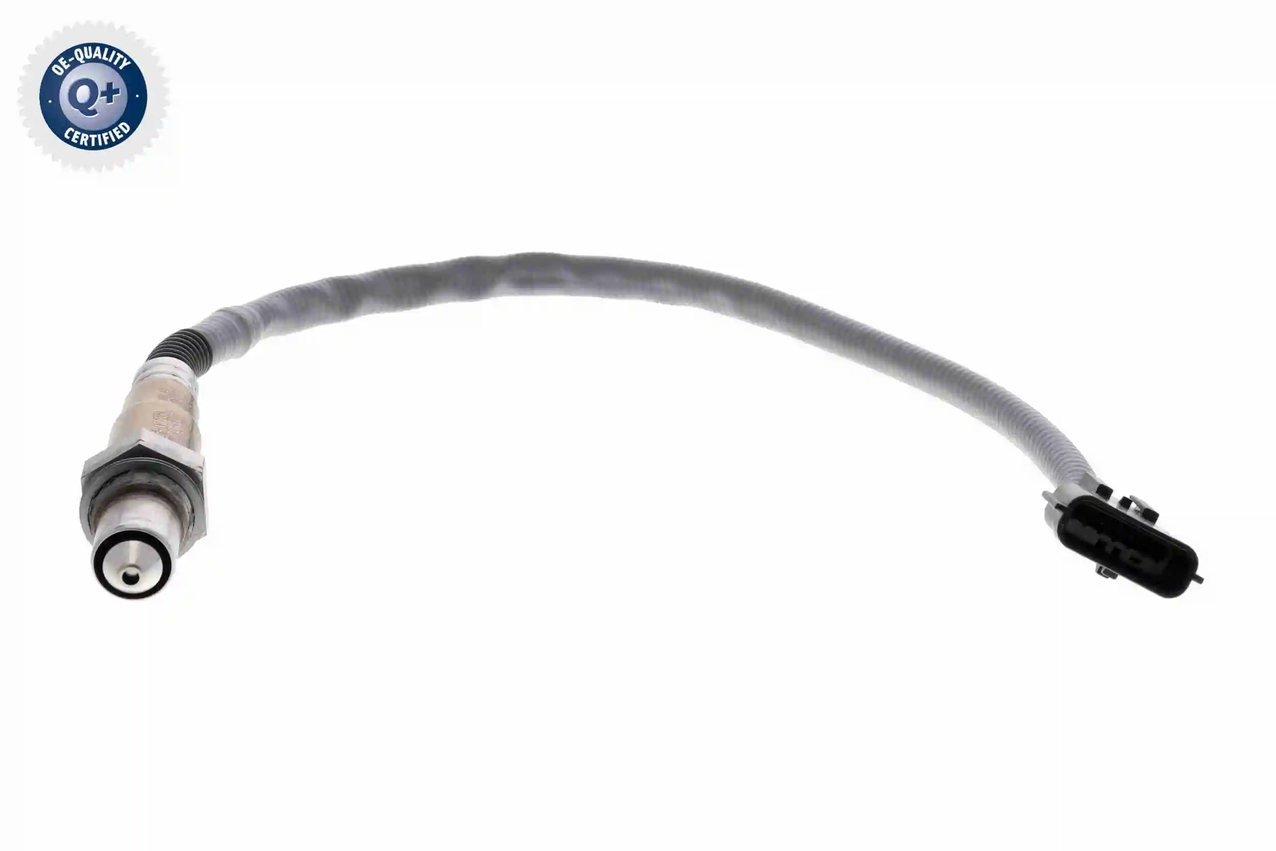 V30760055 Vemo