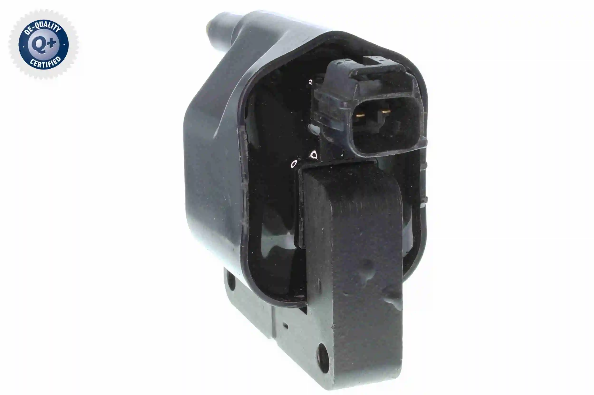 V33700002 Vemo