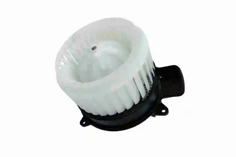 V15031948 Vemo