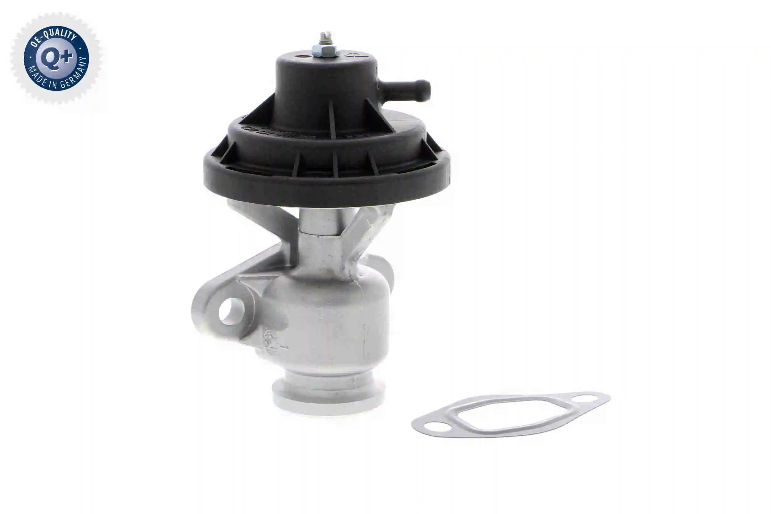 V10630043 Vemo