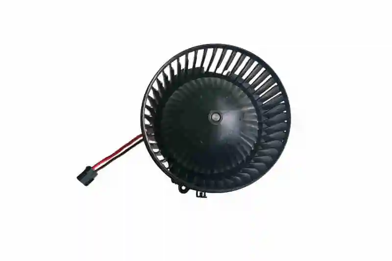 Comprar  1  F40