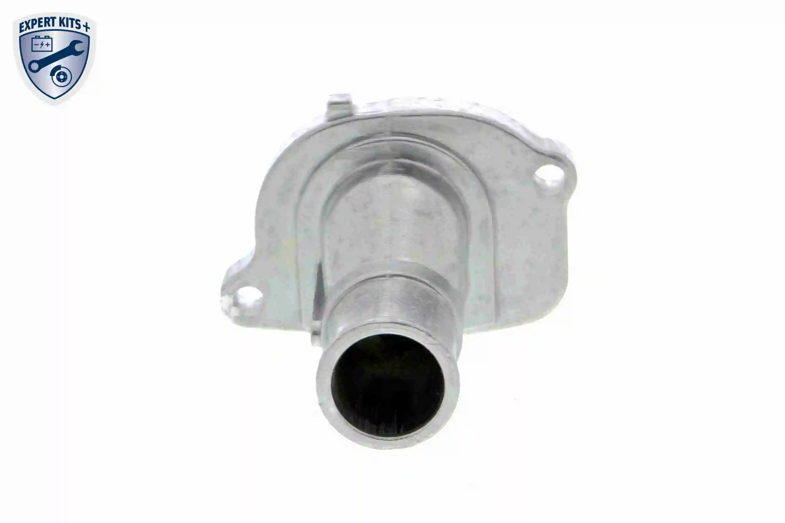 Termostato V24990019 Vemo