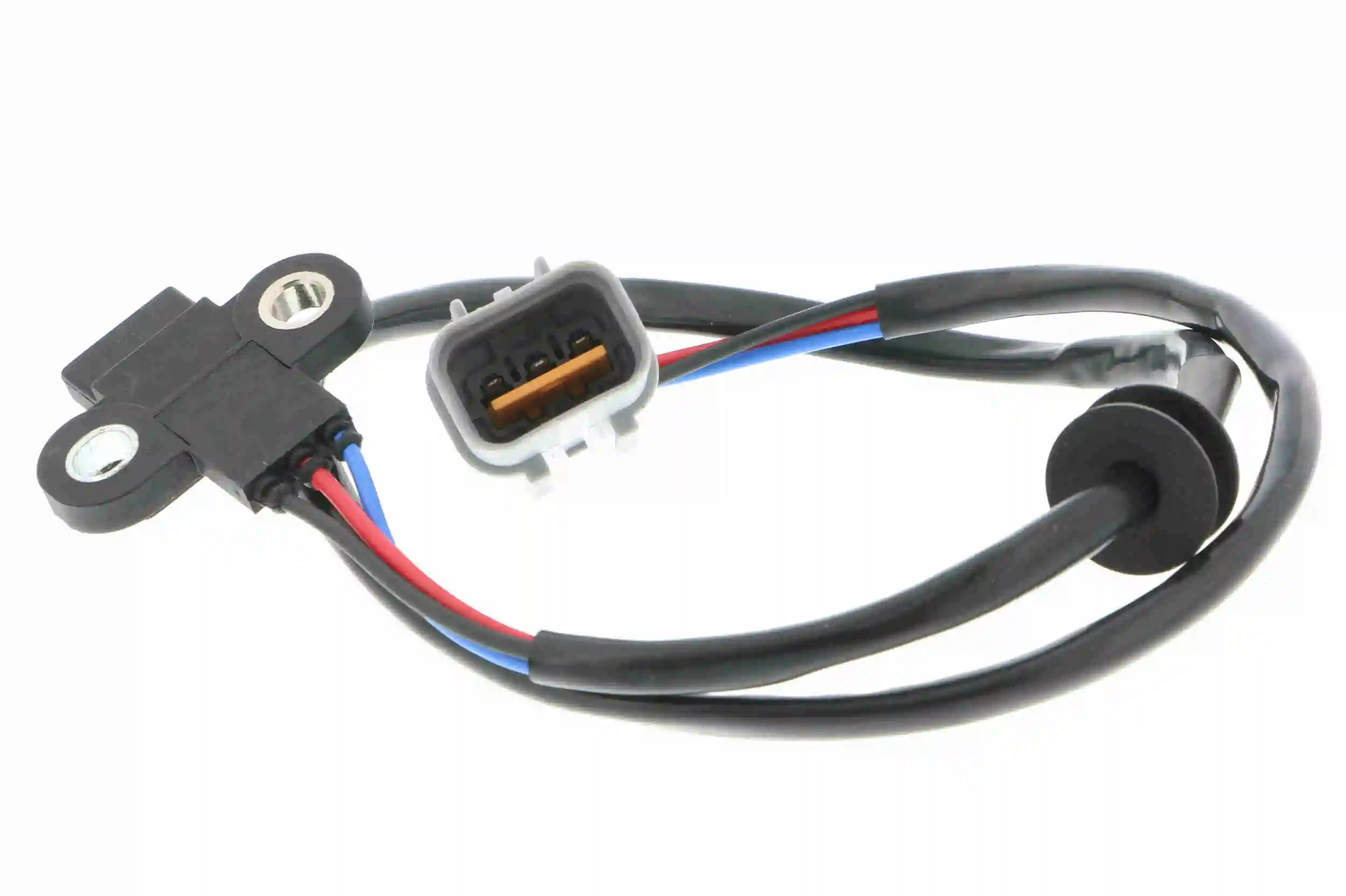 Comprar  Montero  K8, K9