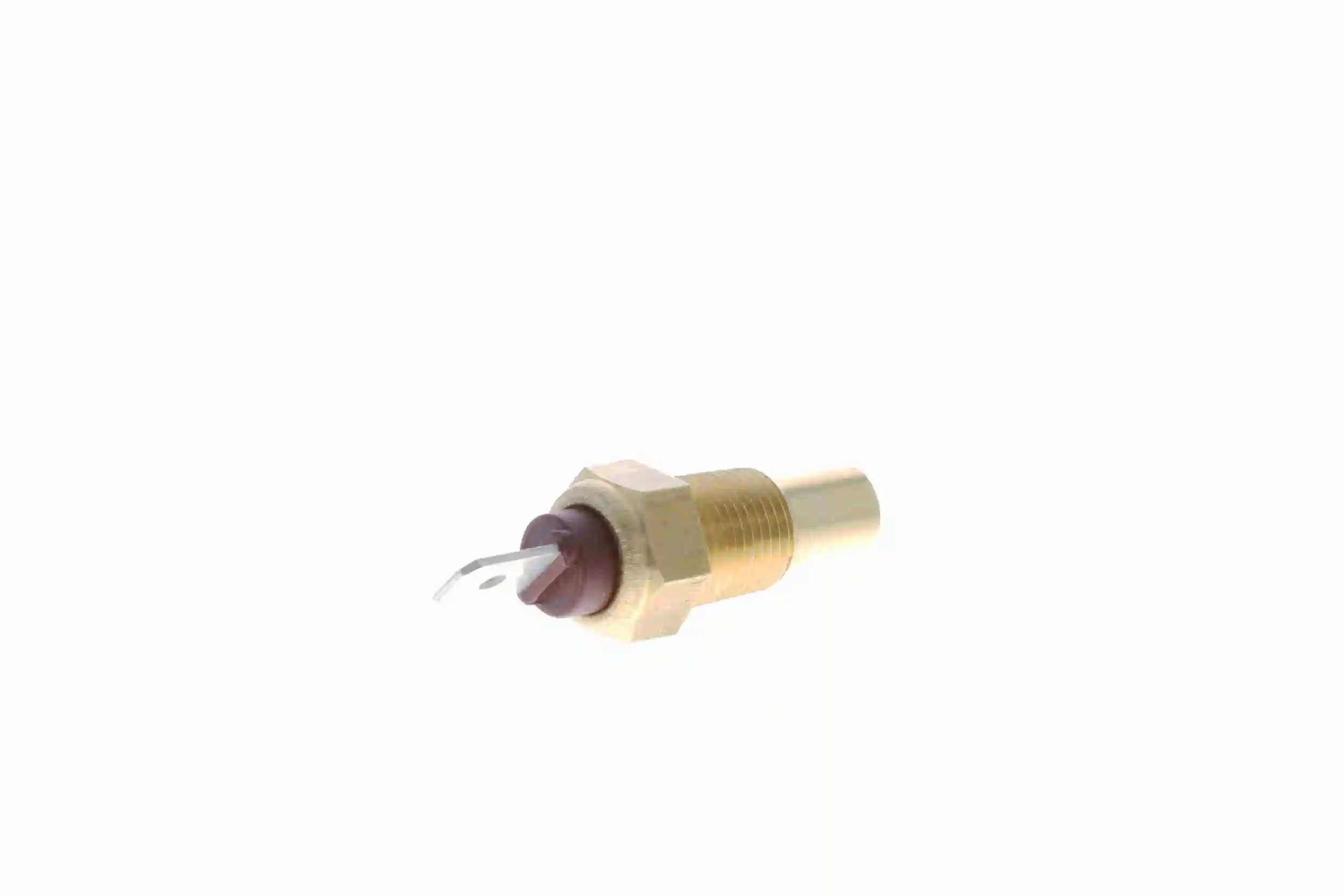 V37720002 Vemo