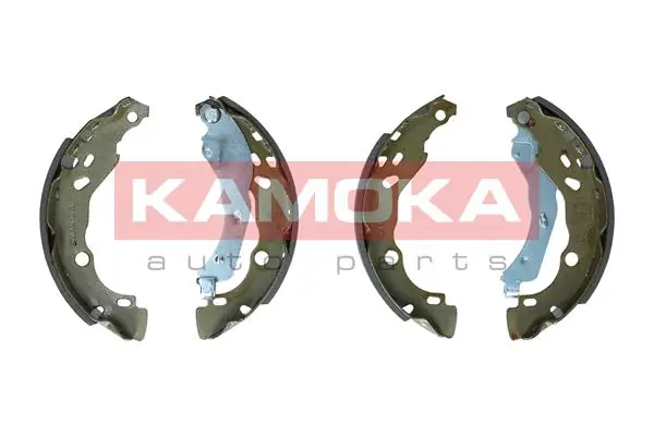 JQ202073 Kamoka