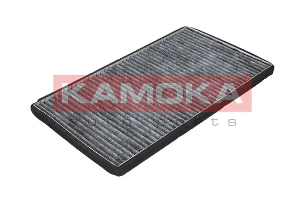 F500501 Kamoka