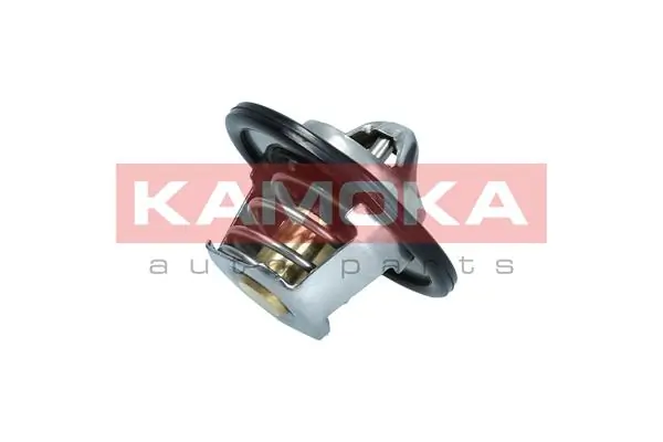 Termostato Renault (RVI) 2120000Q0B