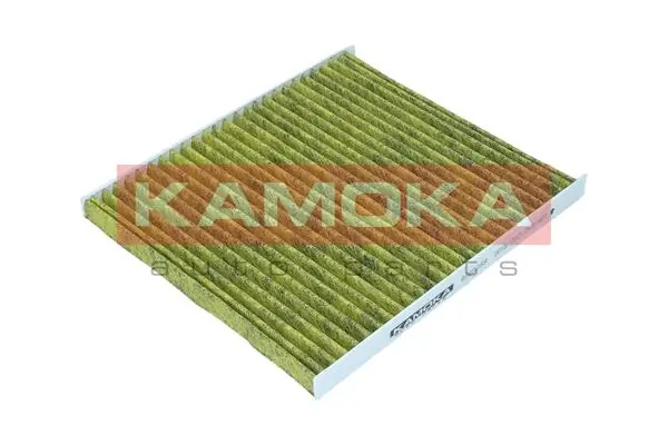 6080098 Kamoka
