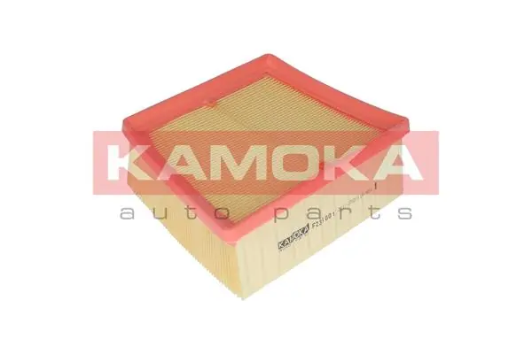 F231001 Kamoka