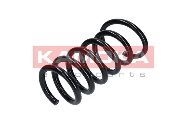 2120273 Kamoka