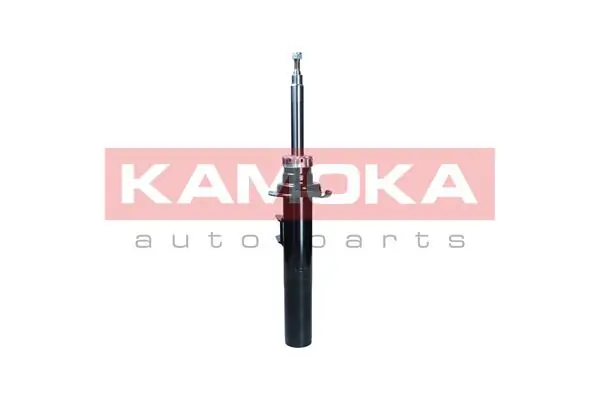 2001113 Kamoka