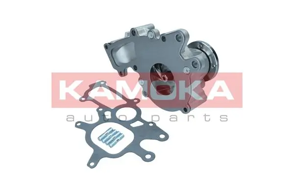 T0267 Kamoka