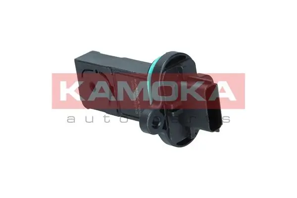 18023 Kamoka