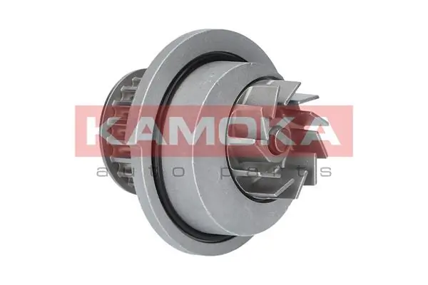T0070 Kamoka