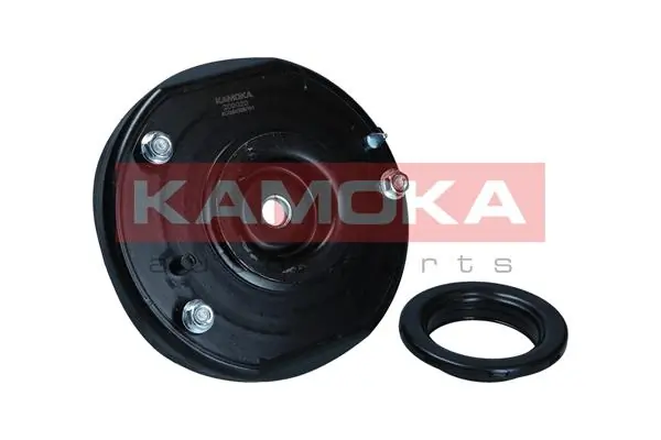 209020 Kamoka