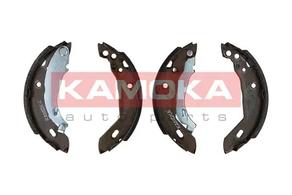 JQ202065 Kamoka