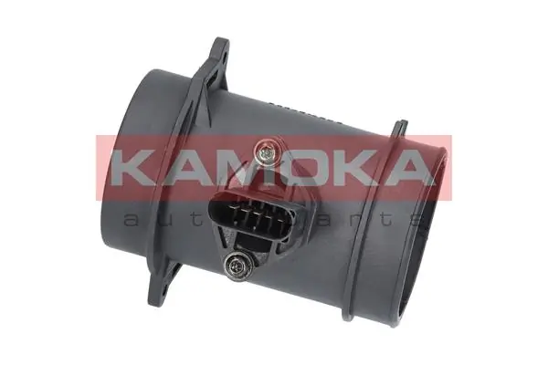 18008 Kamoka