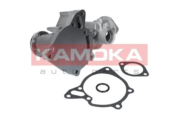 T0162 Kamoka