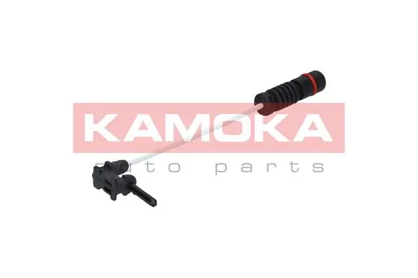 105001 Kamoka
