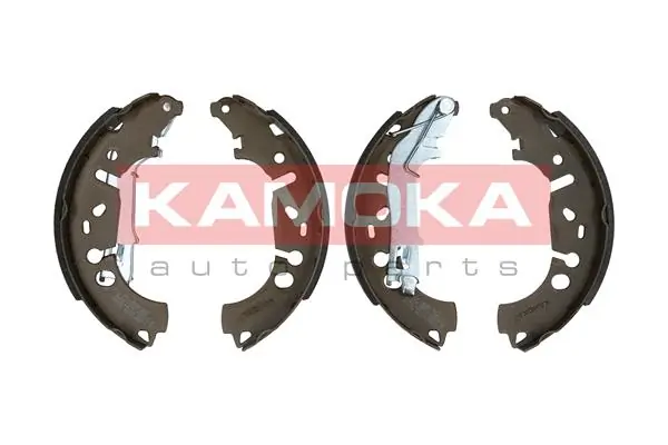 JQ202058 Kamoka