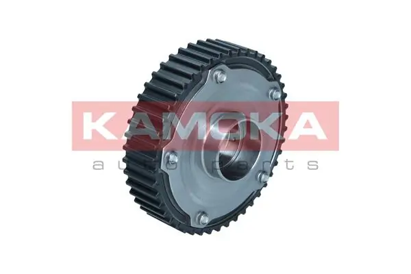 Engrenagem de cadeia da roda dentada da árvore distribuidora de motor Fiat 500  312