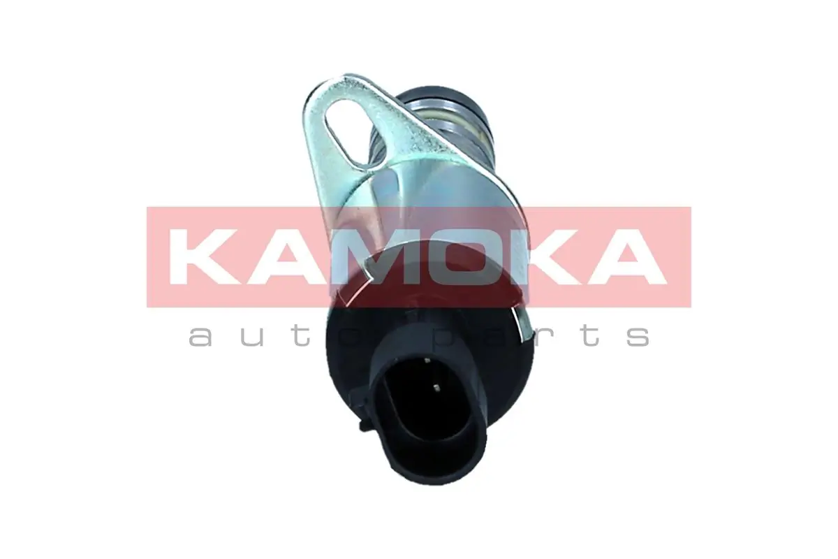 RA009 Kamoka