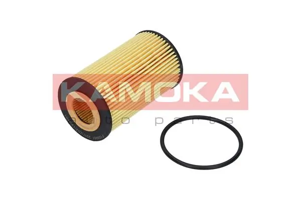 F106001 Kamoka