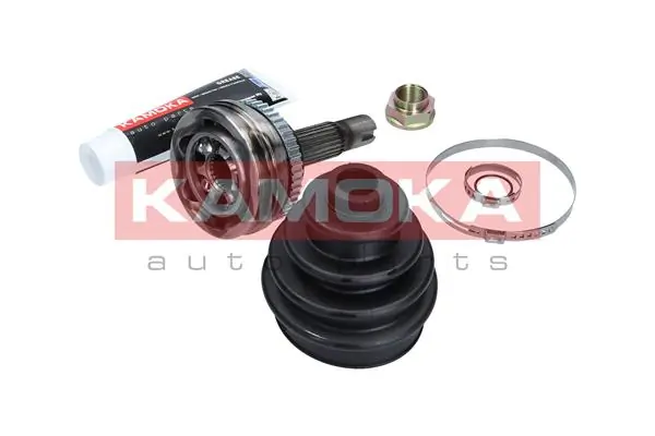 6137 Kamoka