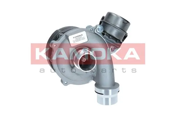8600032 Kamoka Turbina
