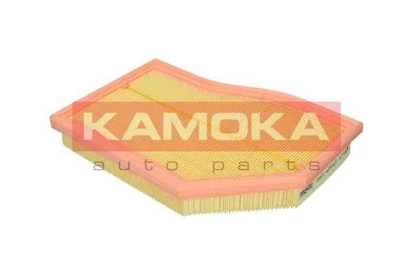 F255801 Kamoka