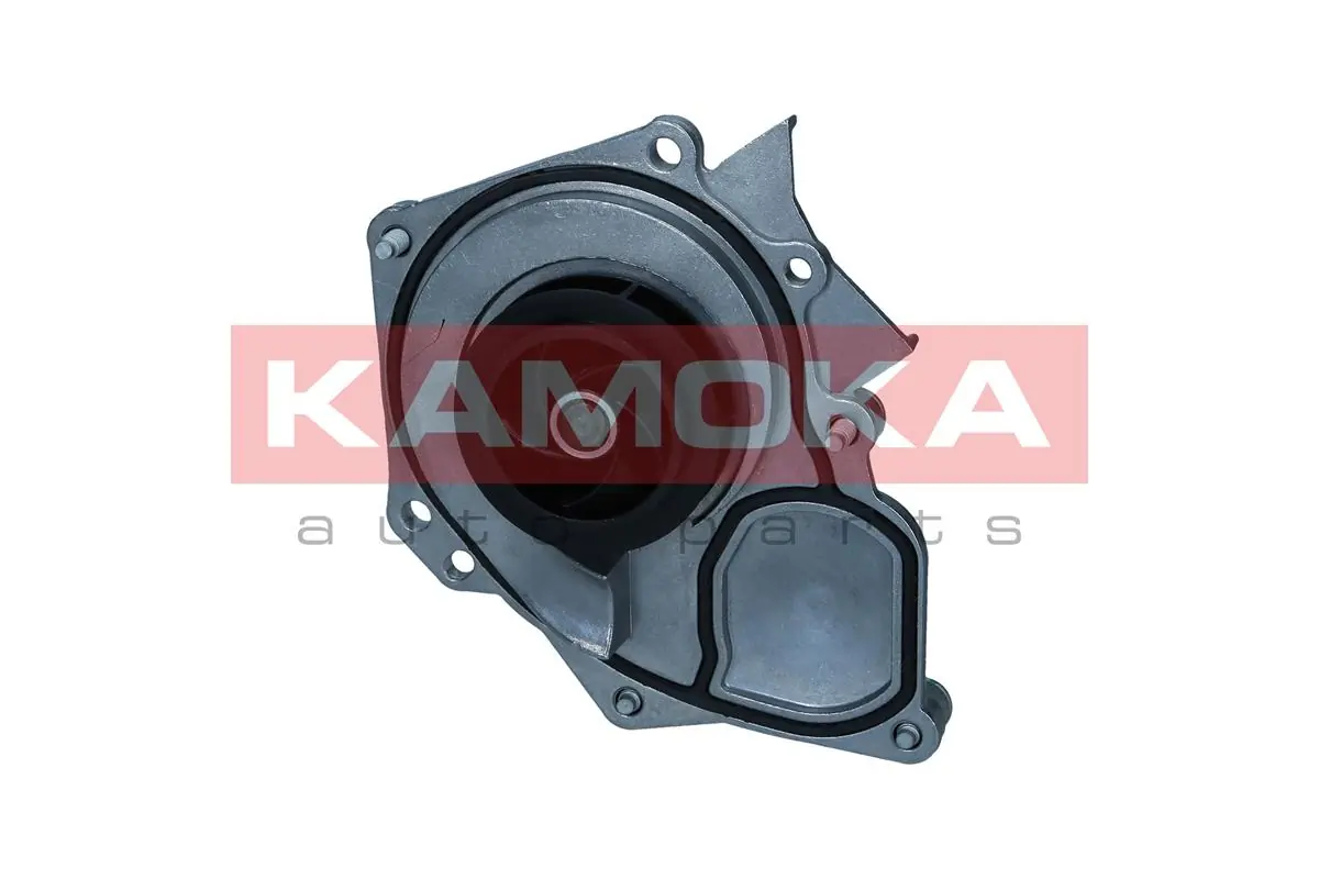 T0289 Kamoka