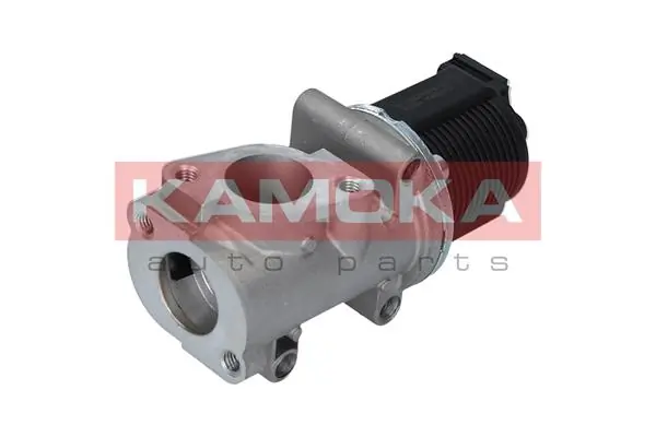 19008 Kamoka Válvula EGR de recirculação dos gases