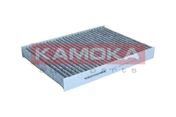F521301 Kamoka