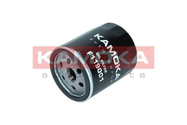 F119001 Kamoka