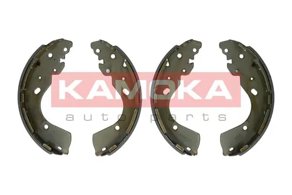 JQ202098 Kamoka