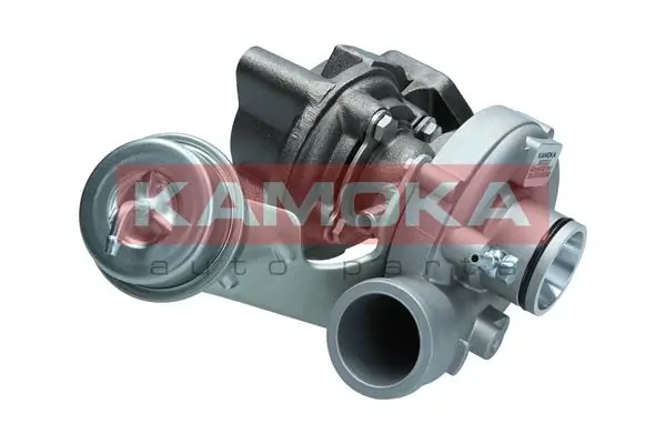 53147100526 Borg-Warner Turbina