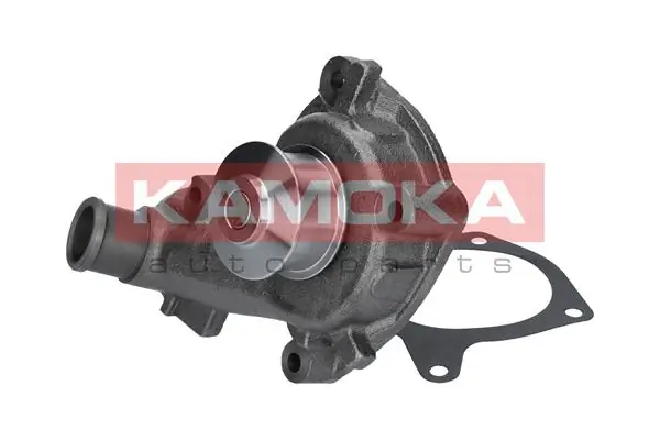 T0140 Kamoka