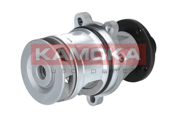 T0057 Kamoka