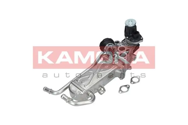 19072 Kamoka