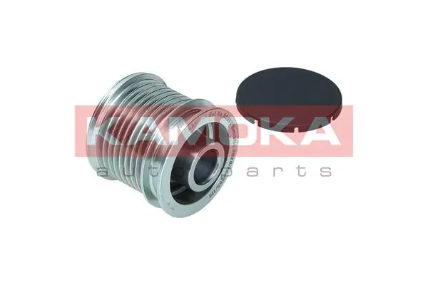 Polia do gerador Mercedes R  W251