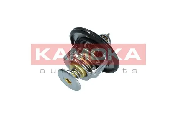7710067 Kamoka