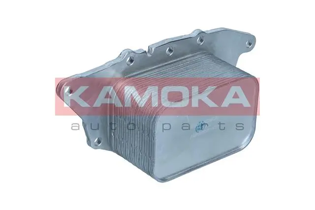 7730100 Kamoka