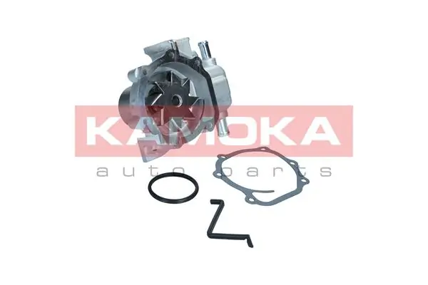 T0313 Kamoka
