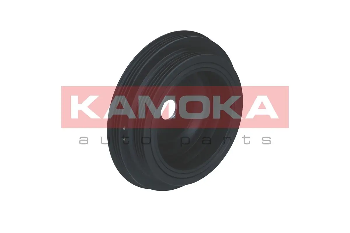 Polia de cambota Renault Twingo I C06
