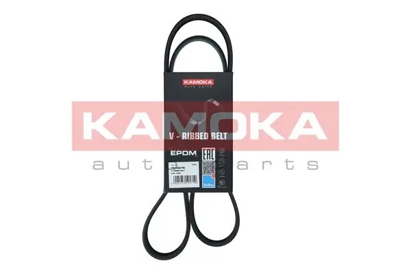 7016079 Kamoka