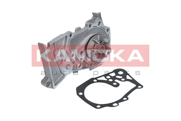 T0102 Kamoka