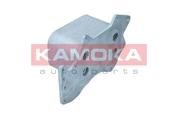 7730089 Kamoka