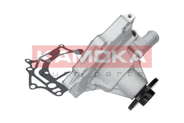 T0175 Kamoka