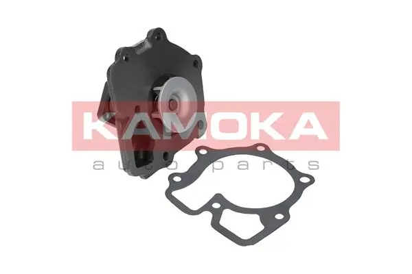 T0143 Kamoka