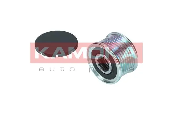  Polia do gerador BMW X6 SUV (E71) (2008 - 2014) 